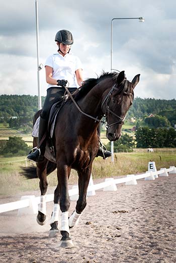 I Stall Alfhems ridskola rider du antingen på våra hästar eller tar med dig din egen.